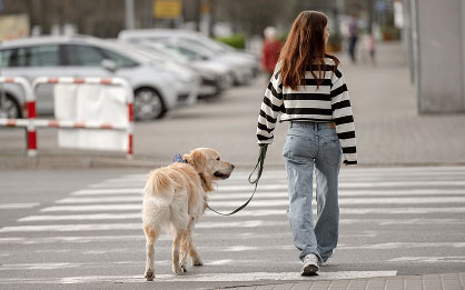 Pedestrian Accidents