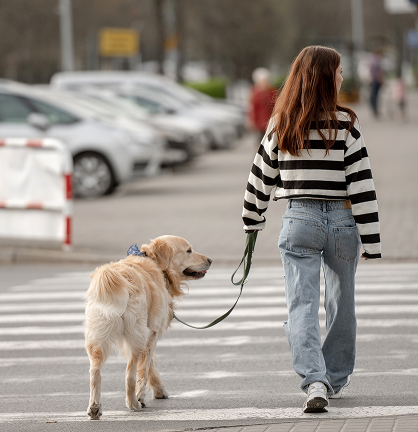 Pedestrian Accidents
