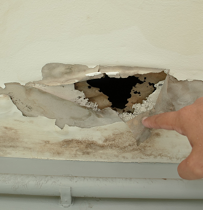 Property Mold Damage