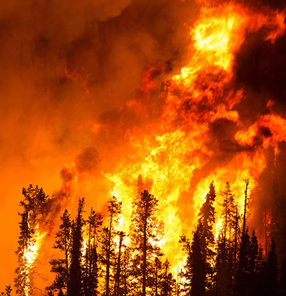 Wildfire Burn Injuries