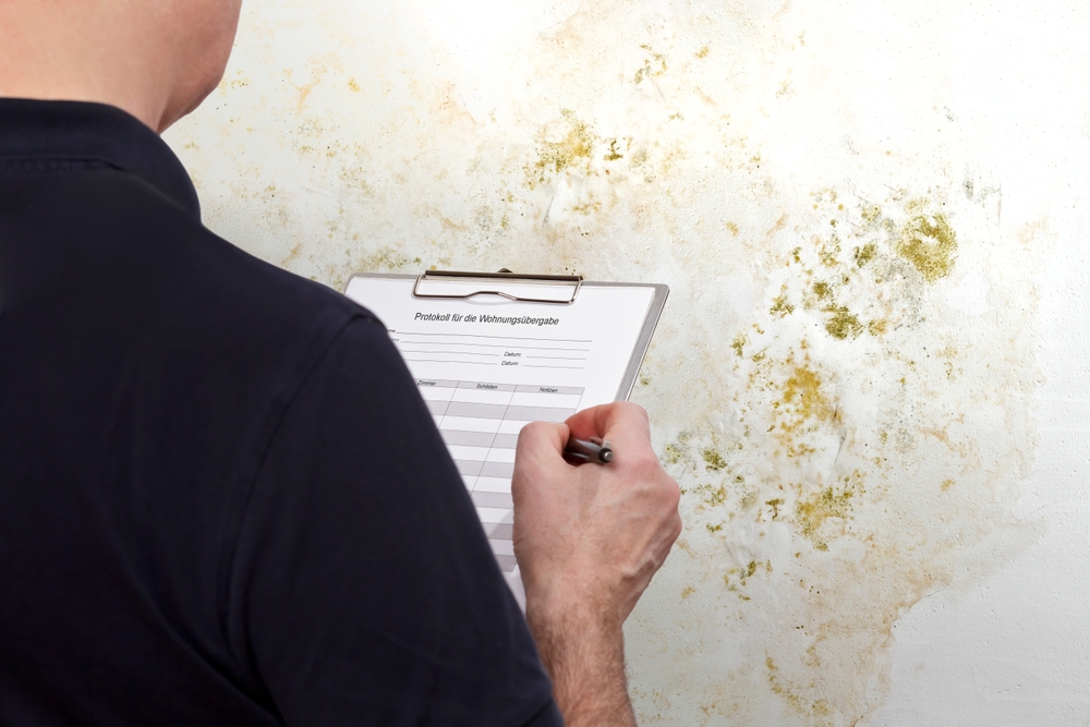 Mold in Rental Properties